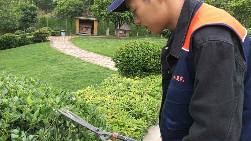 商场立体绿化：不只是垂直的普通绿化**