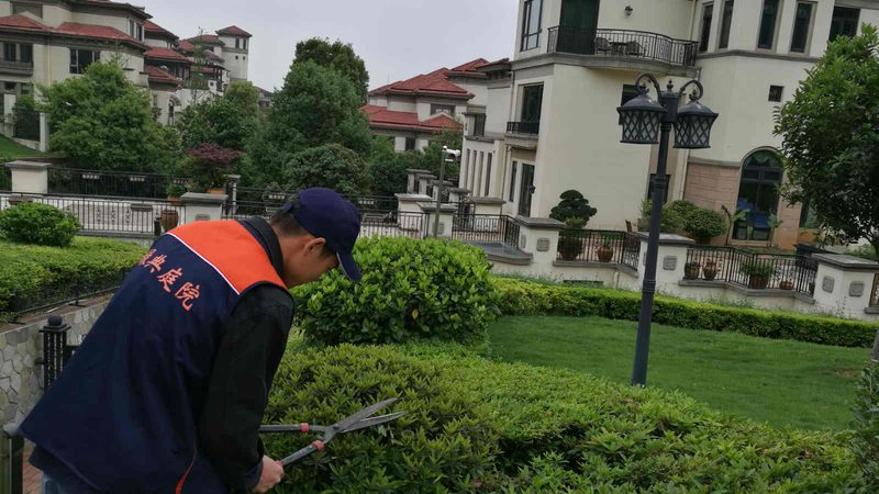 南县苗木种植基地