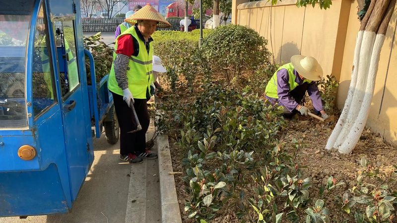 市政绿化灌溉系统：如何制定合理的报价单