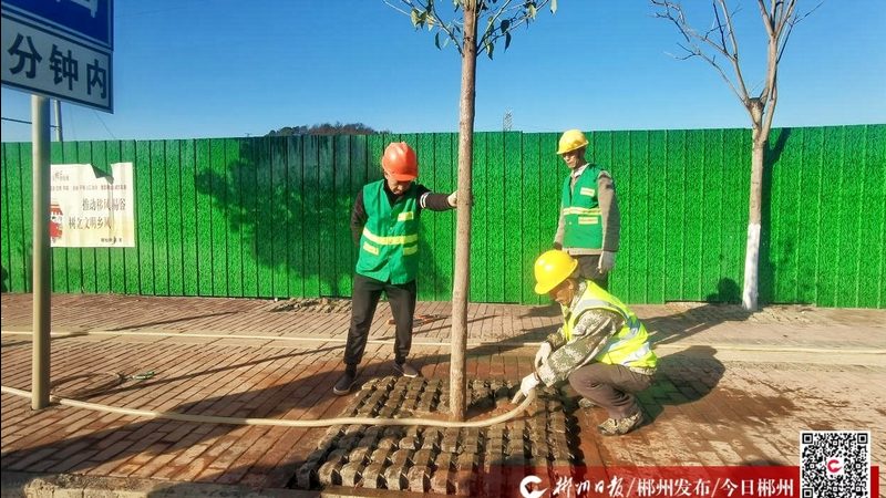 市政绿化土建技术参数：标准解析与实际应用**