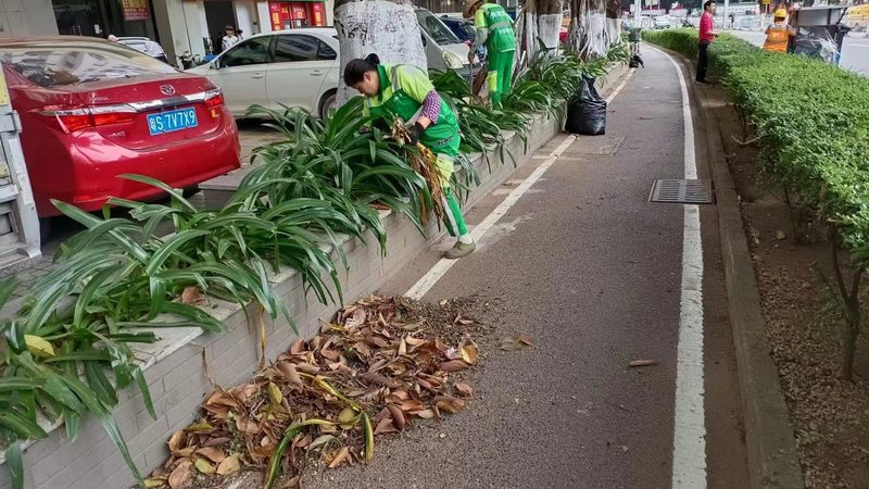 绿化资质转让：靠谱公司如何甄别？**