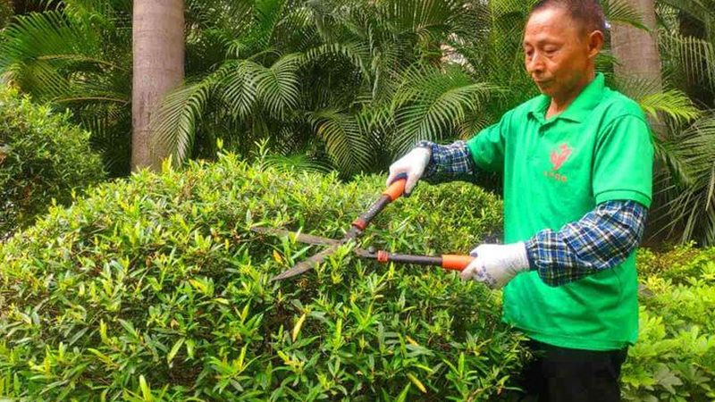 PVC立体绿化墙面材料：如何打造绿色垂直空间**