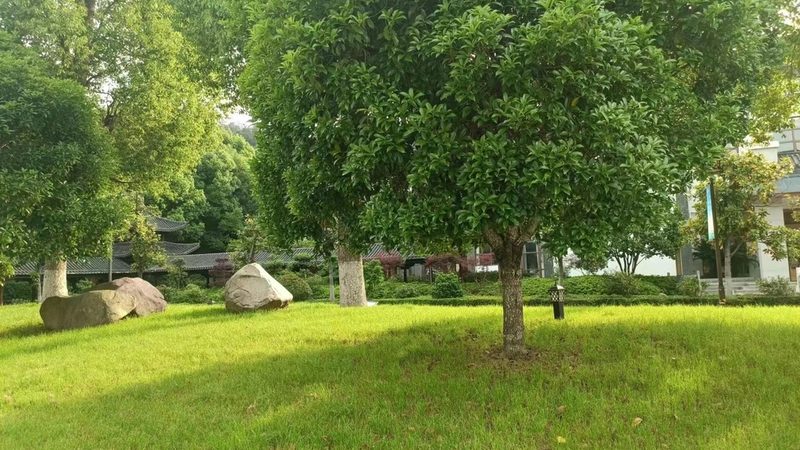 小区绿化工程报价明细表：揭秘报价背后的关键因素**