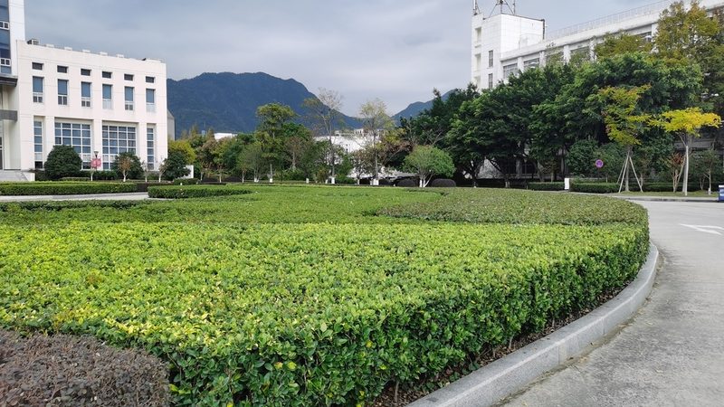小区绿化植物搭配设计，打造宜居生态家园