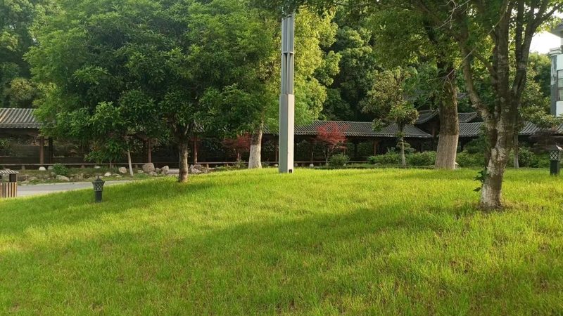 道路绿化苗木批发，如何选择优质供应商？**
