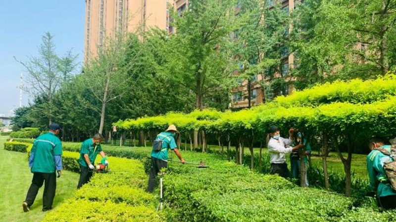 市政园林绿化预算报价单：编制要点与常见误区**